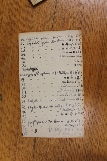 Media type: image;   Special Collections 4202 shows cataloged_item 4203 shows cataloged_item 4204 shows cataloged_item 4205 shows cataloged_item 4206 shows cataloged_item 4207 shows cataloged_item 4208 shows cataloged_item 4209 shows cataloged_item 4210 shows cataloged_item 4211 shows cataloged_item 4212 shows cataloged_item 4213 shows cataloged_item 4214 shows cataloged_item 4215 shows cataloged_item 4216 shows cataloged_item 4217 shows cataloged_item 4218 shows cataloged_item 4219 shows cataloged_item 4220 shows cataloged_item 4221 shows cataloged_item 4222 shows cataloged_item 4223 shows cataloged_item 4224 shows cataloged_item 4225 shows cataloged_item 4226 shows cataloged_item 4227 shows cataloged_item 4228 shows cataloged_item 4229 shows cataloged_item 4230 shows cataloged_item 4231 shows cataloged_item 4232 shows cataloged_item 4233 shows cataloged_item 4234 shows cataloged_item 4235 shows cataloged_item 4236 shows cataloged_item 4237 Description: Documentation photo of Wilder folder/label B4;